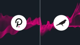 Polkadot/Kusama Parachain Auctions explained