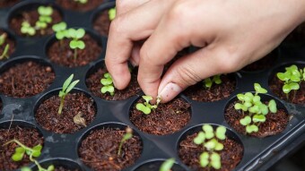 Farming comes to Centralised Exchanges