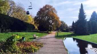 Wednesday was a surprise, a gentle breeze of summer - My Actifit Report Card: October 22, 2025