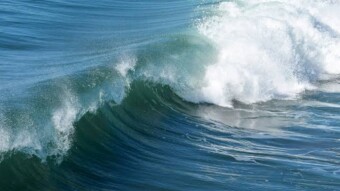 The Tide Turns: Hacks, Recoveries, and a Shifting Market