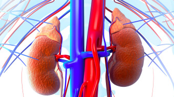 What is Chronic Kidney Disease?