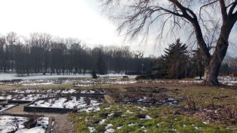 Sunday, some sun, it's hard to find a secluded place in the park - My Actifit Report Card: February 12 2023