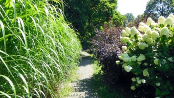 A very warm, pleasant day for long walks