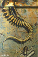 Archanica 02 by Kenn Brown | Medical Relief sale