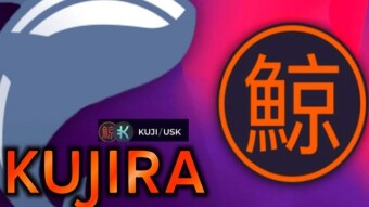 How Kujira Works: Usk Mint and Liquidation Auctions