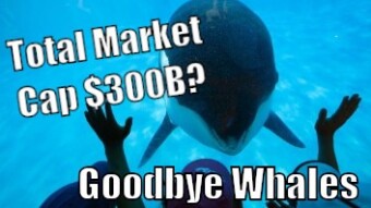 Is The Goal Total Market Cap 300B? Goodbye Whales