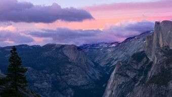 KPI Oracles and the Future of Organizations
