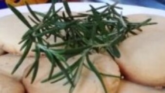 The Rosemary Experience