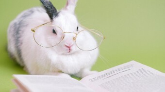 Reading Habit