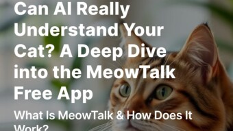 Can AI Really Understand Your Cat? Free Cat Translator App