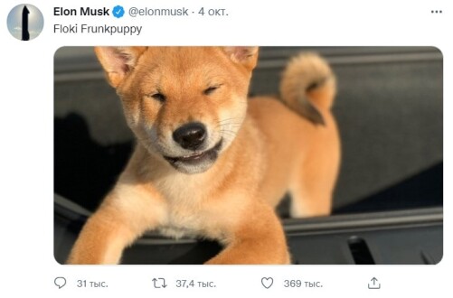 29ef491bc4f1859d2347d14134ac8ee90223e8c902fd62667cffd39797256580.jpg