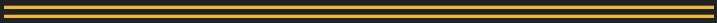 Double Yellow Bars Horizontal