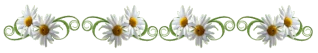 9913d176d42ead3e5fc2b960c6dd5efdcfa31498a9c2ded4e7159f0ae187dfb5.gif