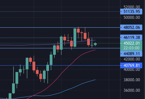 the daily chart of BTC/USD 19 Aug