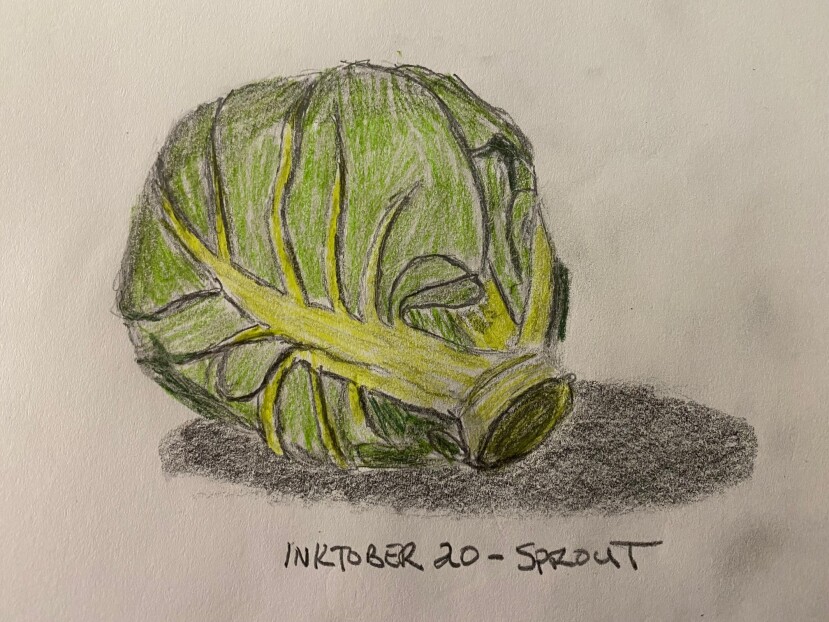 Brussels Sprout - drawing in colored pencil and pencil