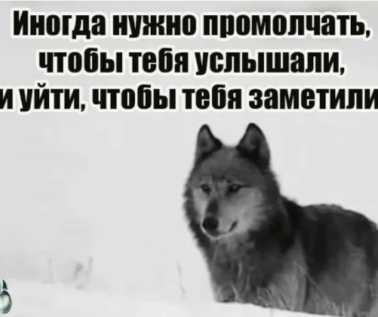 c37d075e43a89da713ad8bca9c82c241c3a31b2455215c81837278d12c8bac6b.png