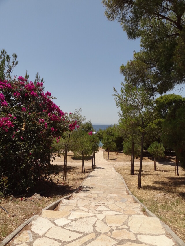 Around Athens - Kavouri - Beaches - Megalo Kavouri Beach - Entrance