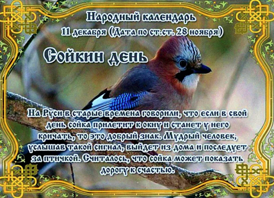 ff2f37777a7b5079b6a41391565900b045bbd8d5d255238bbe38383b1d703588.png