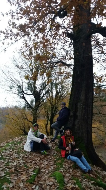 Photography of  Nature, autumn, Real Life story