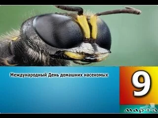 dd65c394bcc5661a56c685e6197689586718366483bfbe5cd2b5bf5e69e27ebc.jpg