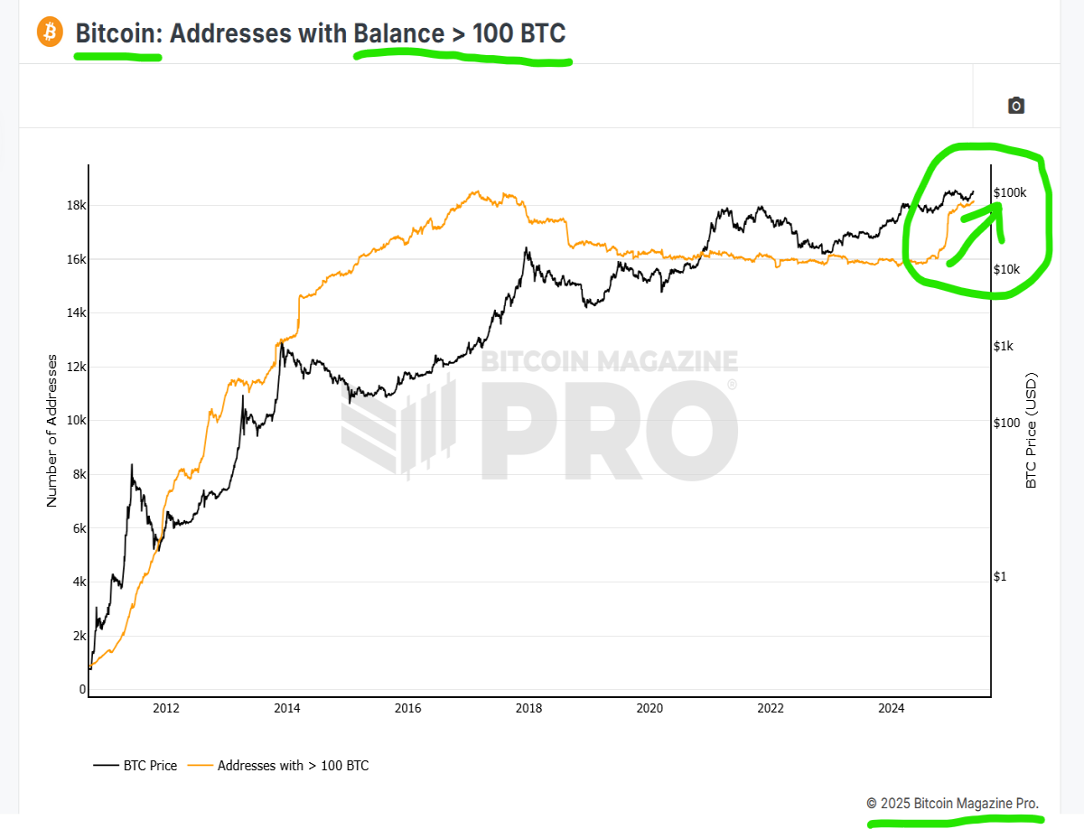 biggest owners of bitcoin