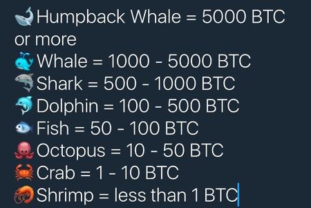 The Chart