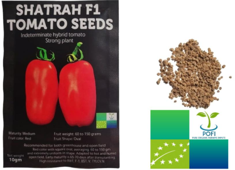 Shatrah F1 tomato