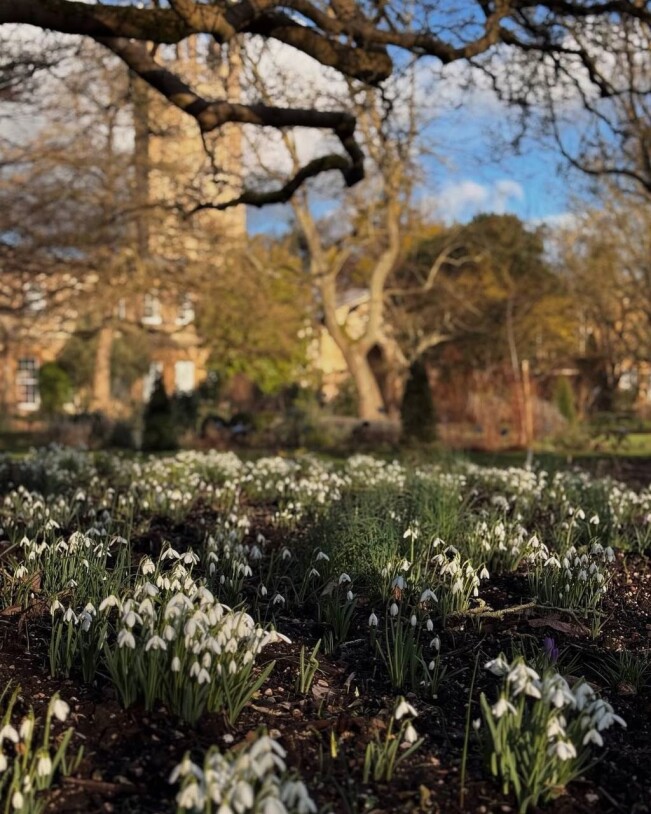 Oxford's Spring Mood