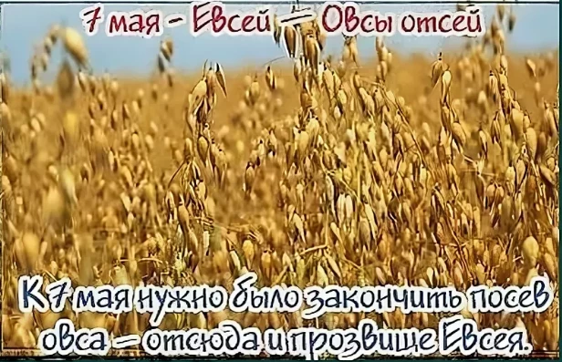 09f9dd877dcf39bbb2ec4afc64aef3d49ee355551abbad651e57211738a055e8.png