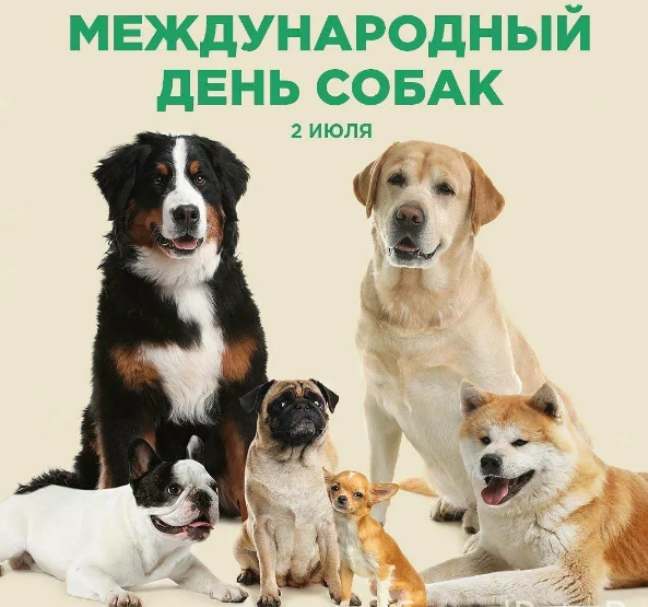 8aa8cc9b8dfa23e459c007a8cb12d42a4404763e1c0748a4fcd0ac9f322d8e9d.png