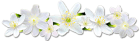 b2cca6e6dbd63a57aa7c7032c934de723bcb0d5607679eb419171c2bf1fca3a0.png