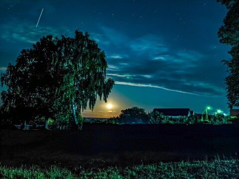 mobilography13
