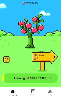 Tomarket image