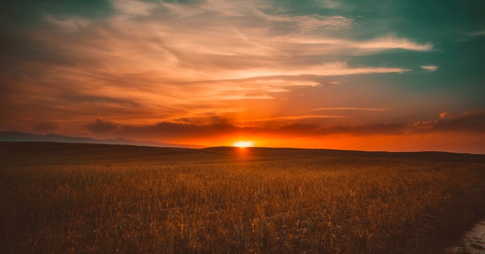 sunbreak