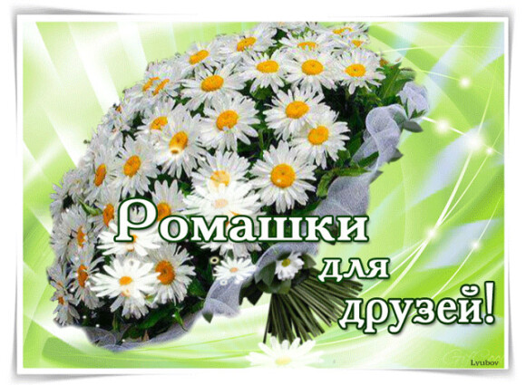 772fe035fc4a53b1188f1885a314e32451b5aa5cd0680f99c120fdb7bb79627a.jpg