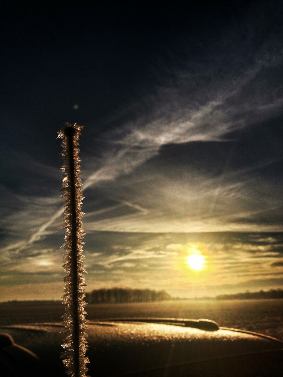 minivan radio antenna at dawn covered in frost