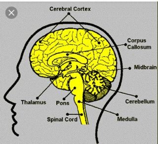 2c9e3cdb0e1a65ee0ec7c5ab80a56d1388c529aac916e4ec7a3e246e85ca37d8.jpeg