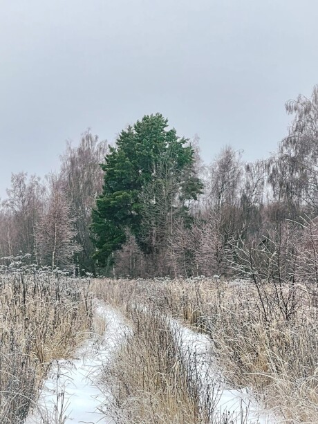 Photo works in the TopContent community