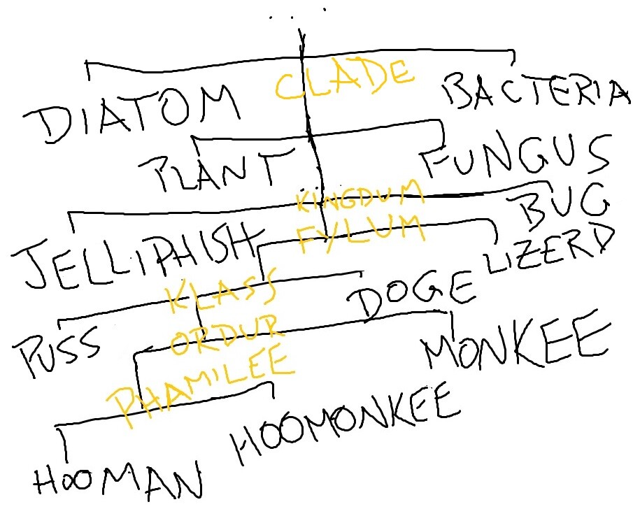 scientific