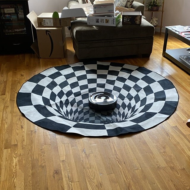 Roomba on silly carpet