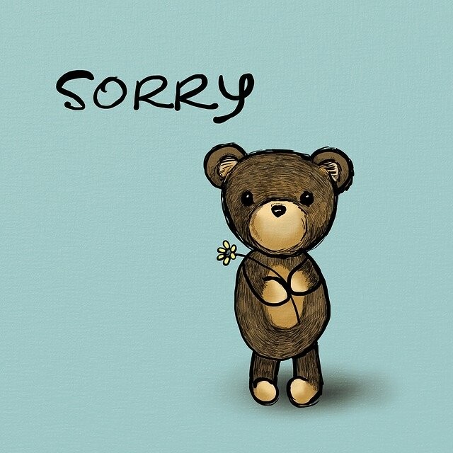 Sorry bear