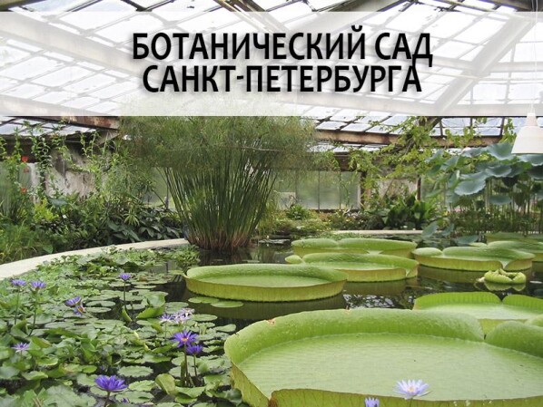 52240734da951b996d4ec18527fa8517673d652616652e2d2411fb1281c3e3d9.jpg