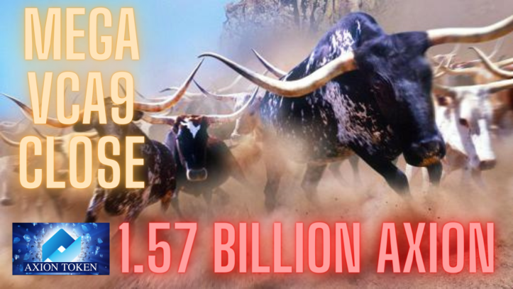 Axion crypto venture capital auction day 147