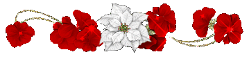 9cb05a21b79febc1958c268a0d625d65878c03d94a3a923529431d69fc2fb2d3.gif