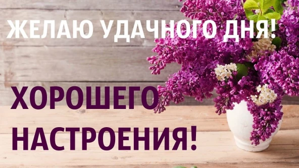 2b7e35c1cfe7d38b54cfd13e167790be4e5ae61827c93dda6337a4536a758563.jpg