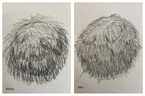 Before and after sketches of fur-textured spheres