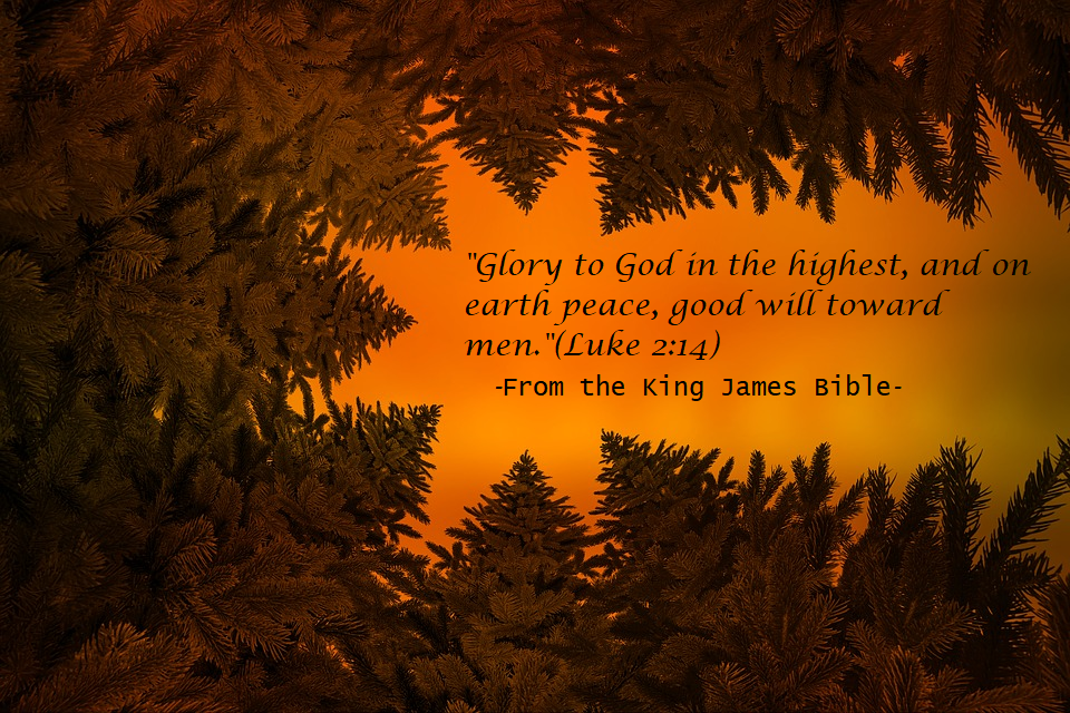 Luke 2:14