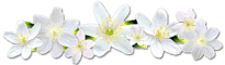 b2cca6e6dbd63a57aa7c7032c934de723bcb0d5607679eb419171c2bf1fca3a0.png