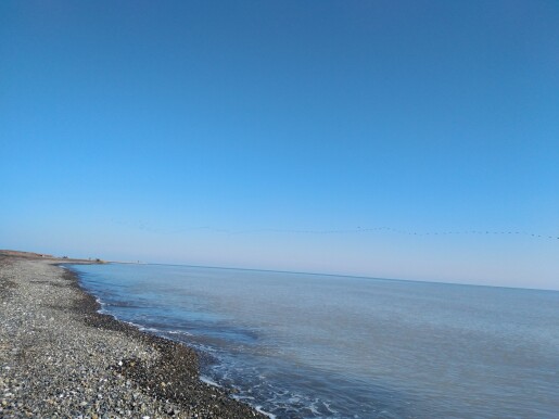 The Story of Cycling | As Migratory Birds Fly Over The Endless azure