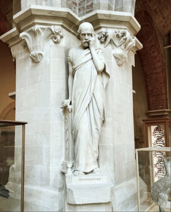 Oxford University Museum of Natural History